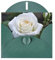 WHJYYXDE Dunkelgrüne hochwertige Perlpapier-Grußkarte, 10,2 x 15,2 cm, geeignet für Geburtstagskarten, Party-Einladungen, Morgen-weiße Rosen-Drucke