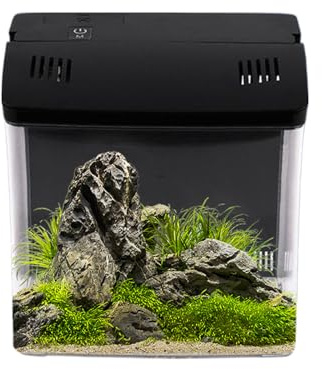 Desktop Aquarium | Kleines Becken Mit Filter | Wohndekoration | Für Riffaquarien Quallen Frösche Desktop Büro Schreibtisch Wohnzimmer Und Haustierheim