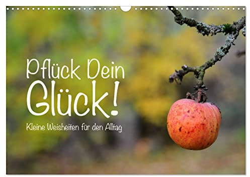 Pflück Dein Glück – Kleine Weisheiten für den Alltag (Wandkalender 2026 DIN A3 quer), CALVENDO Monatskalender: Kleine Weisheiten als Lebenshilfe für den Alltag (CALVENDO Gesundheit)