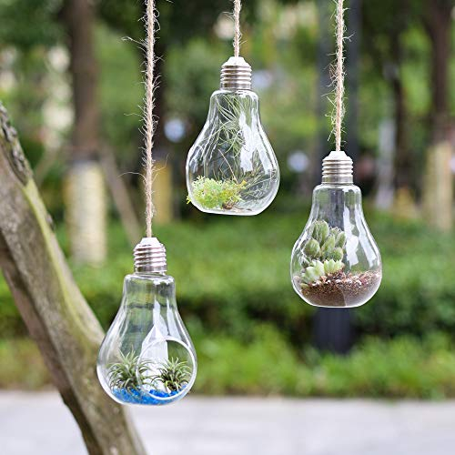 Glas Terrarien hängen 3er Set Glas hängen Übertopf/Air Pflanzgefäße/innen Sukkulente Garten/Wasser Pflanzen Übertopf Vase (1 große Öffnungen)