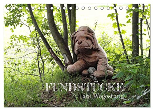FUNDSTÜCKE am Wegesrand (Tischkalender 2026 DIN A5 quer), CALVENDO Monatskalender: SKURRILES, ALTES oder WITZIGES am Wegesrand ... (CALVENDO Spass)