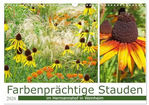 Farbenprächtige Stauden im Hermannshof in Weinheim (Wandkalender 2026 DIN A3 quer), CALVENDO Monatskalender: Der Sichtungsgarten Hermannhof verbindet ... zur Erforschung von Stauden. (CALVENDO Natur)
