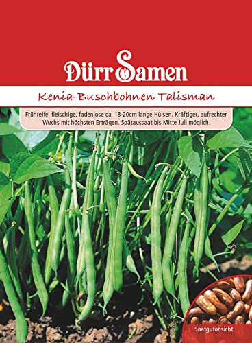 Buschbohnen Samen Kenia Bohnensamen Grüne Bohnen ca 150 Korn Saatgut Gemüse Garten Hochbeet Kübel Dürr Samen