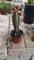 Portal Cool Euphorbia canariensis Cactus Colección 8,5 Cms maceta Planta carnosa