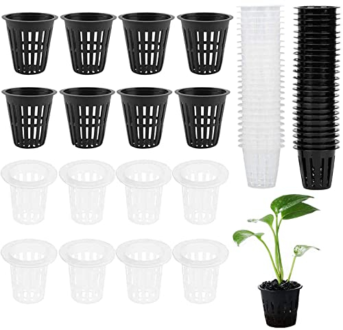 Macetas de Red de Jardín, 60 Pcs Copas de Plantas para Hidroponía, Malla Cesta Hidropónico, Cesta de Plástico para Jardín Balcón Plantación (Negro, Transparente)