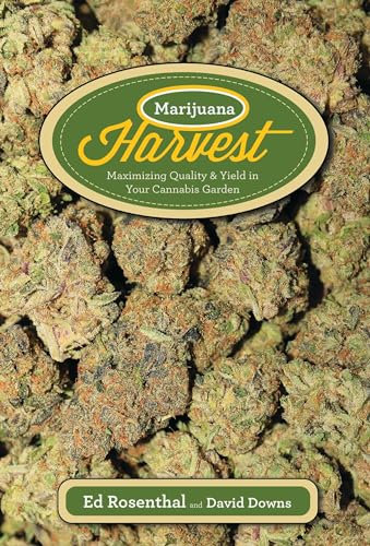 Marijuana Harvest: Maximize Quality and Yield in Your Cannabis Garden