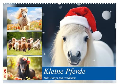 Kleine Pferde. Mini-Ponys zum verlieben (Wandkalender 2026 DIN A2 quer), CALVENDO Monatskalender: Zauberhafte Wintzlinge erobern die Herzen! (CALVENDO Tiere)