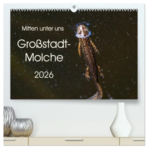 Mitten unter uns - Großstadt-Molche (hochwertiger Premium Wandkalender 2026 DIN A2 quer), Kunstdruck in Hochglanz: Große und kleine Teichmolche (CALVENDO Tiere)