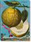 J. C. Volkamer. Citrus Fruits: The Complete Plates 1708-1714, Numbered Edition 0971
