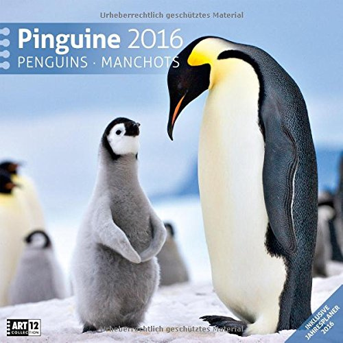 Pinguine 30 x 30 cm 2016