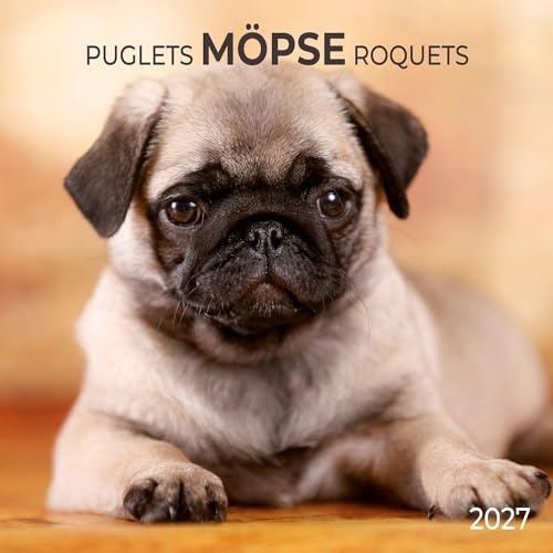 Möpse / Puglets 2027: Kalender 2027 (Artwork Edition)