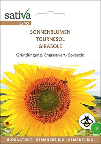 Sativa Rheinau gr40 Gründüngung Sonnenblumen (Bio-Gründünger)