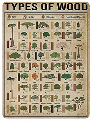 Hdadwy Metal Tin Sign Types of Wood Woodworking Knowledge Infographic Vintage Art Poster Retro Iron Painting Wall Decor Art Gift Outdoor Cafe Bar Garage Farm Decoration 16x12