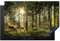 MuchoWow Herdabdeckplatte Ceranfeld Spritzschutz Küche Hirsche - Natur - Wald 80x52 cm Induktionsherd Abdeckung Induktionskochfeld Ceranfeldabdeckung