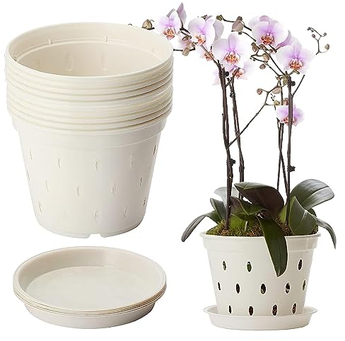BestAlice 10 Pack Orchid Pot, 5.6 Inch Orchid Pots with Holes and Saucers, Clear Plastic Orchid Pots for Plant and Repotting, Garden Planters Pots for Home Office