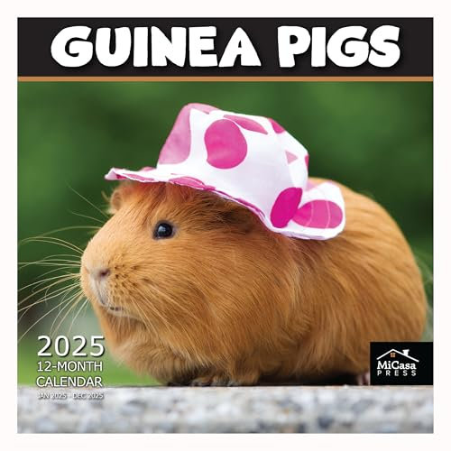 MICASA Meerschweinchen Wandkalender 2025, 12 Monate, 30,5 x 61 cm offen, dickes und stabiles Papier, Geschenk, Kalender 2025