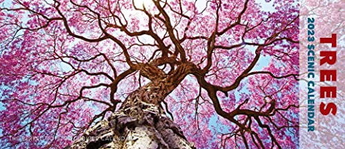 Trees 2023 Panoramic Wall Calendar