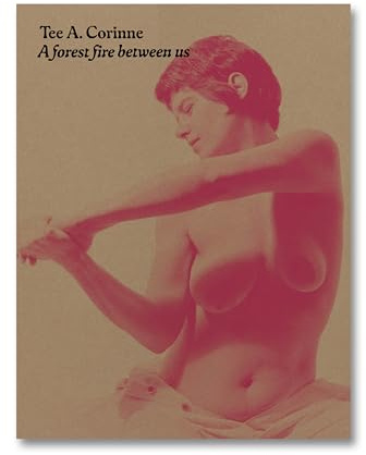 Tee A. Corinne: A forest fire between us