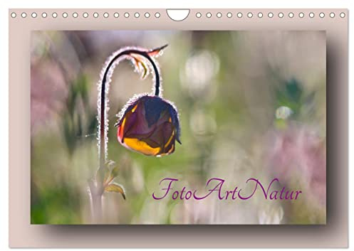 Foto-Art-Natur (Wandkalender 2026 DIN A4 quer), CALVENDO Monatskalender: Fotografische Leckerbissen aus der Natur, künstlerisch arrangiert. (CALVENDO Kunst)