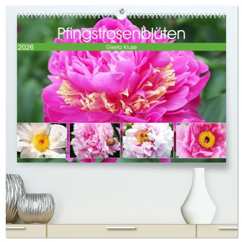 Pfingstrosenblüten (hochwertiger Premium Wandkalender 2026 DIN A2 quer), Kunstdruck in Hochglanz: Die Rosen des Frühlings wunderschön porträtiert (CALVENDO Natur)