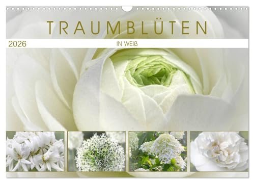 Traumblüten in Weiß (Wandkalender 2026 DIN A3 quer), CALVENDO Monatskalender: Blütenträume in weiß (CALVENDO Natur)