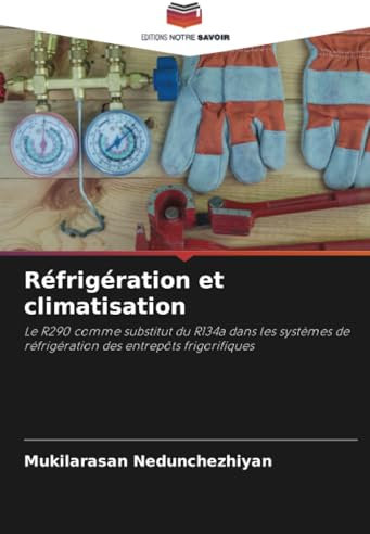 Réfrigération et climatisation: Le R290 comme substitut du R134a dans les systèmes de réfrigération des entrepôts frigorifiques