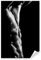 Postereck - 1036 - Mann, Sixpack Sport Muskeln Erotik Sexy Nass - Erotisch Sexy Nackt Wandposter Fotoposter Bilder Wandbild Wandbilder - Poster - DIN A2-42,0 cm x 59,4 cm