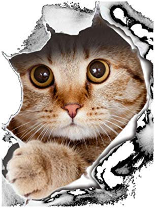 Ogquaton Funny Cat Dog Toilet Seat Cover Lid Sticker Bathroom Wall Art Decoration Decal Portable and Useful