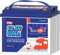 Timeusb Batteria LiFePO4 12V 50Ah,Batteria Litio con BMS da 50A,15000 Cicli Profondi,Durata di Vita di 10 Anni,Batteria al Litio per Impianto Solare,Camper,Marina,Off-grid