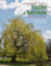 An ID Guide to Trees of Britain and North-West Europe (ID Guides)