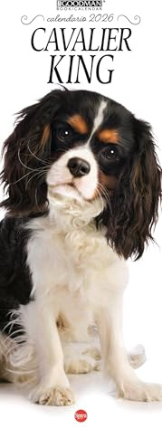 Cavalier king. Calendario 2026. Long (Lisa Goodman Long)