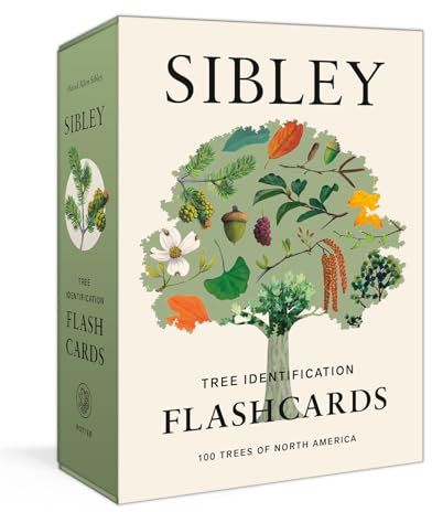 Sibley Tree Identification Flashcards: 100 Trees of North America