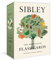 Sibley Tree Identification Flashcards: 100 Trees of North America