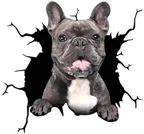 Surakey 4 Stück 3D Cartoon Hund Auto Aufkleber, Bulldogge - Schwarz/Gelb/Braun/Weiß/Grau, Wasserdicht, PVC, Glas, Tür, Autoaufkleber