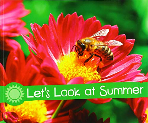 Investigate the Seasons: Let's Look at Summer