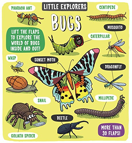 Little Explorers: Bugs