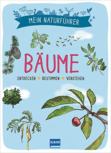 Naturführer - Bäume: Erkennen · erforschen · verstehen