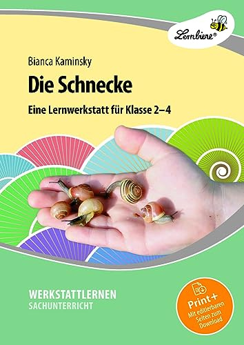 Die Schnecke: (2. bis 4. Klasse)