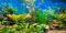 MIRRORANG 61x41cm Aquarium Hintergrund Wasserpflanze Flussbett & See Aquarium Poster Hintergrund Vinyl Hintergrund