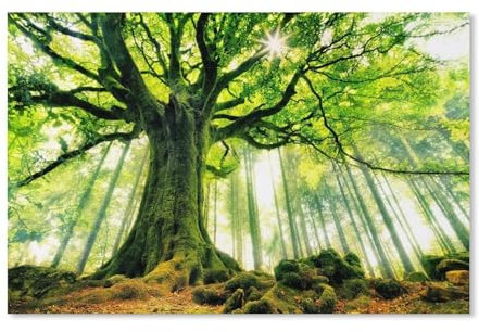 Puzzles，Arbre Géant，Adultes Puzzle en Papier, Loisirs Divertissement Jeu Jouet-1000 Pièces（50x70cm）-G1