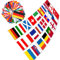 Euro 2025 Football Bunting Flags,24 National Flags 8M European Cup String Flag 2025 Football Bunting Flags,2025 European Football 24 Teams Championship Flags Bunting for Garden Bar European Cup Party