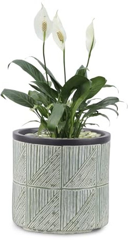 VOSSMOON 20cm Plant Pots Indoor Round Flowerpots, Large Garden Concrete Planter Outdoor Durable than Ceramic or Plasic Plant Pots, Plant Containers with Drainage Holes, Lime Green