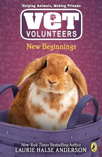 New Beginnings (Vet Volunteers)