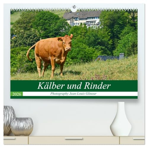Kälber und Rinder (hochwertiger Premium Wandkalender 2026 DIN A2 quer), Kunstdruck in Hochglanz: Kühe, Kälber, Rinder - klasse Tiere (CALVENDO Tiere)