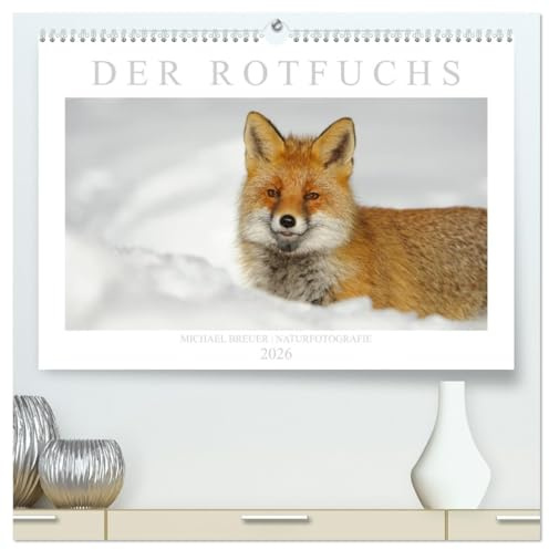 Der Rotfuchs (hochwertiger Premium Wandkalender 2026 DIN A2 quer), Kunstdruck in Hochglanz: Einzigartige Fotos des schlauen Wildtiers (CALVENDO Tiere)