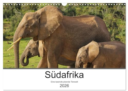 Südafrika - Eine beeindruckende Tierwelt (Wandkalender 2026 DIN A3 quer), CALVENDO Monatskalender: Die Wildtiere Südafrikas eindrucksvoll fotografiert (CALVENDO Tiere)
