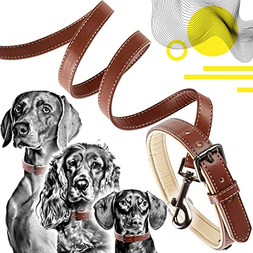 ne&no® Halsband und Leine Set (veganes Leder) Hundeleine mit Halsband I robuste Hundeleine mit Karabiner I Hundehalsband verstellbar I 1.2m Dog Leash I biegsam und extra weich (M, braun/beige)