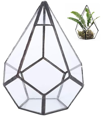 Terrario di Vetro Geometrico, Fioriera per Terrari di Piccole Piante Fioriera Decorativa Trasparente Vaso di Fiori di Muschio Succulento Centrotavola Fai da Te Decorazione Paesaggistica