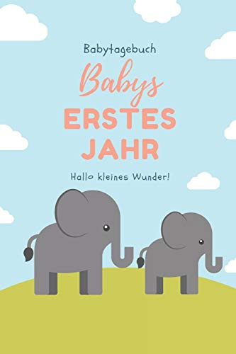 BABYTAGEBUCH BABYS ERSTES JAHR HALLO KLEINES WUNDER: A5 Notizbuch blanko als Geschenk zur Geburt | Geschenkidee für werdene Mütter zur Schwangerschaft | Baby-Tagebuch | Babyalbum | Babys erstes Jahr