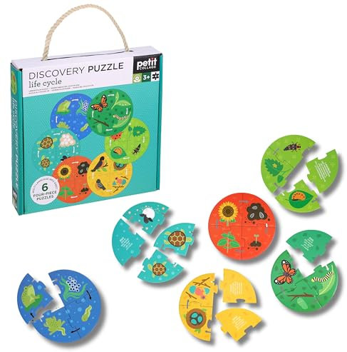 Discovery Puzzle Life Cycle